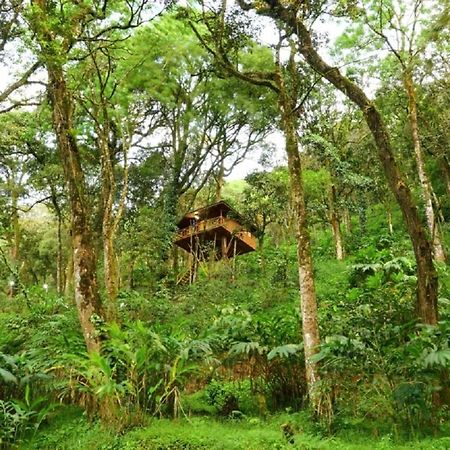 Seven Springs Resort Munnar Exteriér fotografie