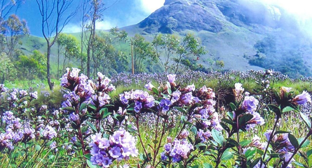 Seven Springs Resort Munnar Exteriér fotografie