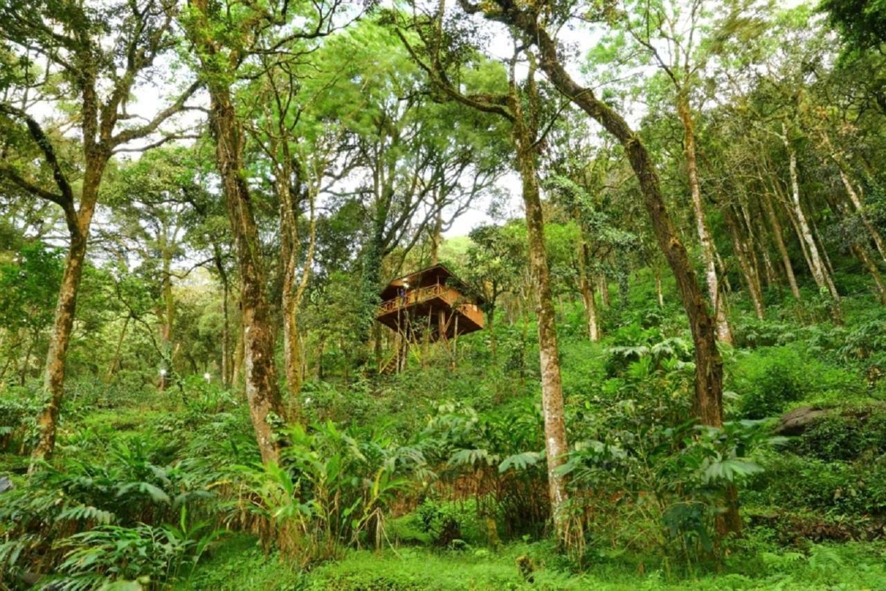 Seven Springs Resort Munnar Exteriér fotografie